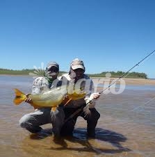 Aprobaron una iniciativa de Palo Oliver para que se declare la veda total de la pesca en la provincia